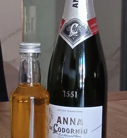 Mar Blava 2 Apartment Vinaros